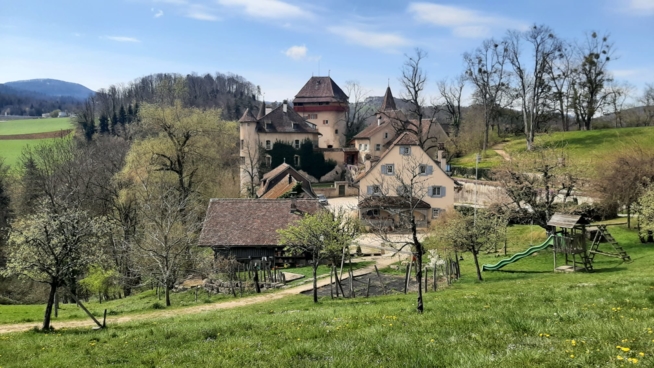 Ein Bild zum Beitrag Wanderung