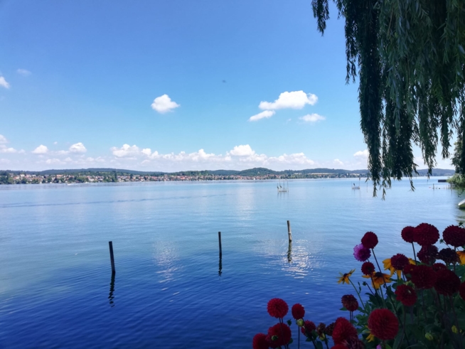Ein Bild zum Beitrag Sommerferien am Bodensee