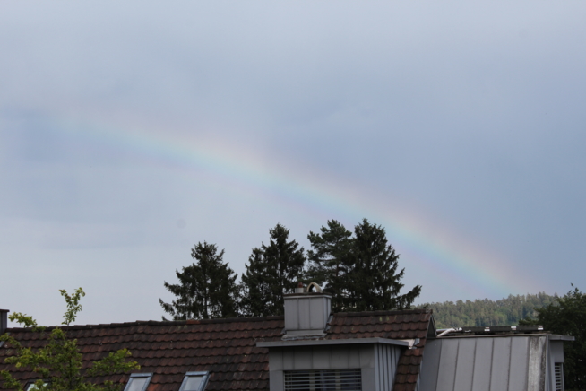 Ein Bild zum Beitrag Regenbogen statt Regen