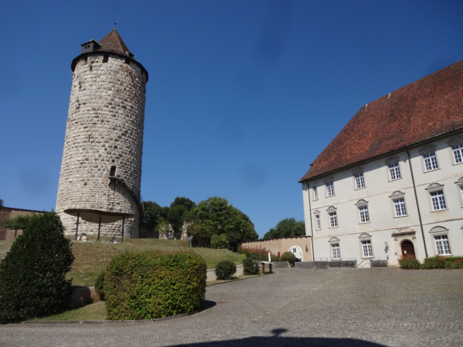 Ein Bild zum Beitrag Zambo Gipfelchallenge  Tour Réfous (Schloss Porrentruy JU)