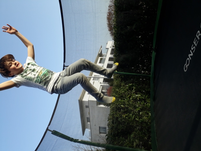 Ein Bild zum Beitrag TRAMPOLIN juhui