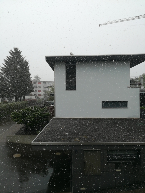 Ein Bild zum Beitrag Schneeeeeeeeeeeeeeeeeeeeeeee