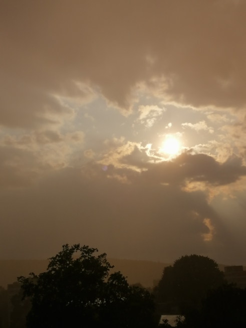 Ein Bild zum Beitrag Regenbogen