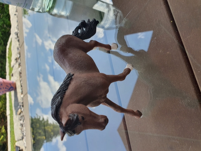 Ein Bild zum Beitrag Neues Schleich Pferd