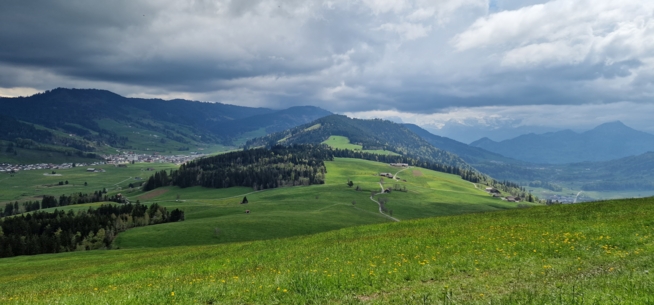 Ein Bild zum Beitrag Regen