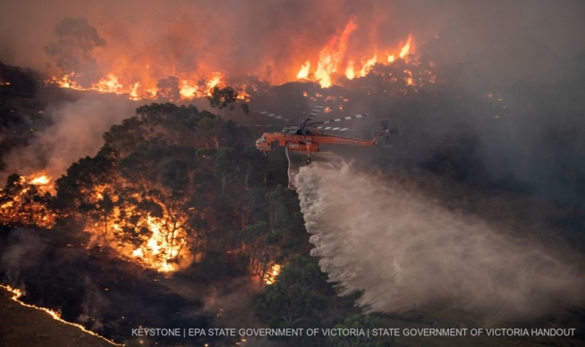 Ein Bild zum Beitrag Australien brennt 🔥😣