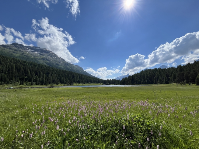 Ein Bild zum Beitrag Pontresina