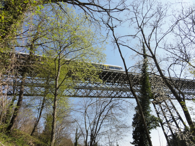 Ein Bild zum Beitrag Ausflug Ossingerbrücke an der Thur
