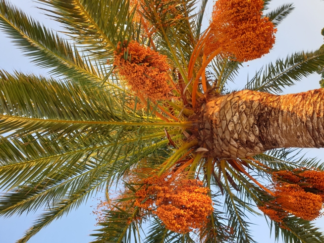 Ein Bild zum Beitrag Meine Herbstferine 2019