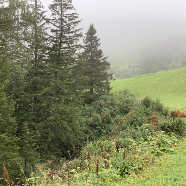 Ein Bild zum Beitrag Ferien in Adelboden