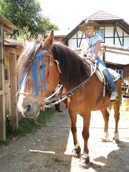 Ein Bild zum Beitrag REITEN