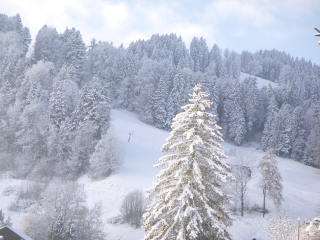 Ein Bild zum Beitrag Schnee