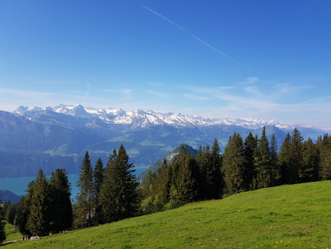 Ein Bild zum Beitrag Rigi