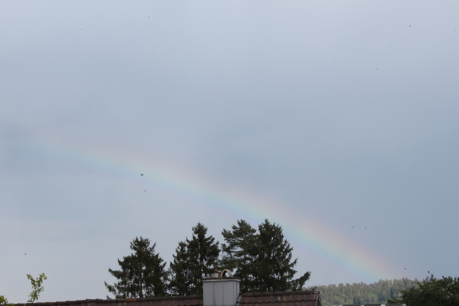 Ein Bild zum Beitrag Regenbogen statt Regen