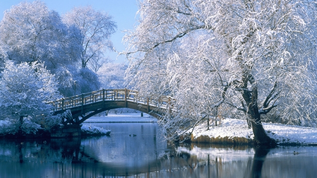 Ein Bild zum Beitrag Winterbüuder