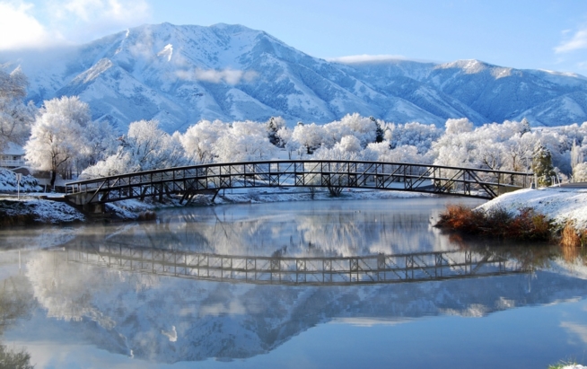 Ein Bild zum Beitrag Winterbüuder 2