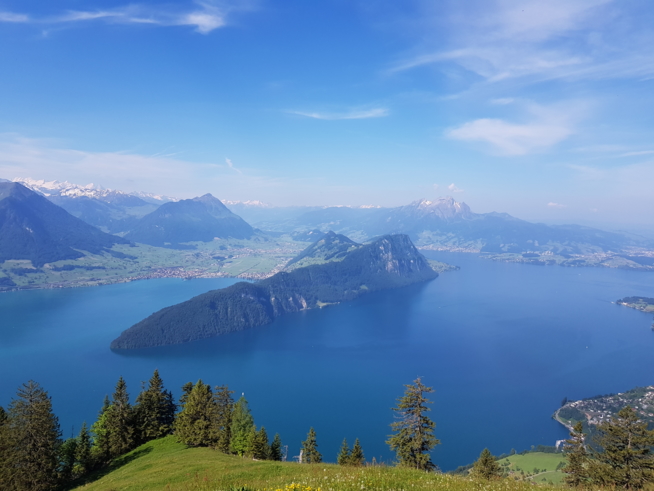 Ein Bild zum Beitrag Rigi