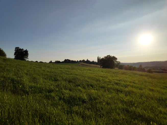 Ein Bild zum Beitrag Gägend🌲🌳🌿🌱☘️🍀🌾