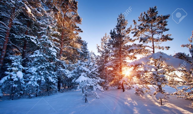 Ein Bild zum Beitrag Winterbüuder 2