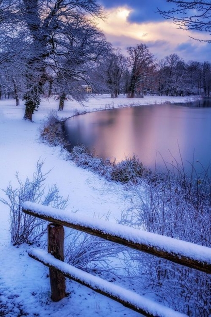 Ein Bild zum Beitrag Winterbilder