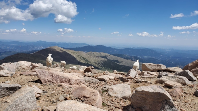 Ein Bild zum Beitrag Mt. Evans und Sneffels