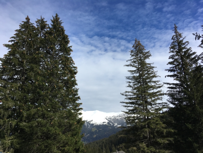 Ein Bild zum Beitrag Meine Ferien in der LENK