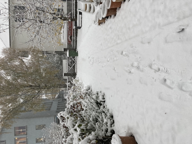 Ein Bild zum Beitrag Schneeee!!!!