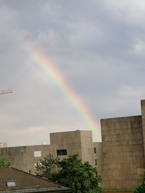 Ein Bild zum Beitrag Regenbogen