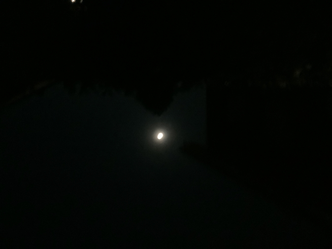 Ein Bild zum Beitrag Vollmond