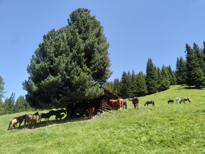 Ein Bild zum Beitrag Fotos