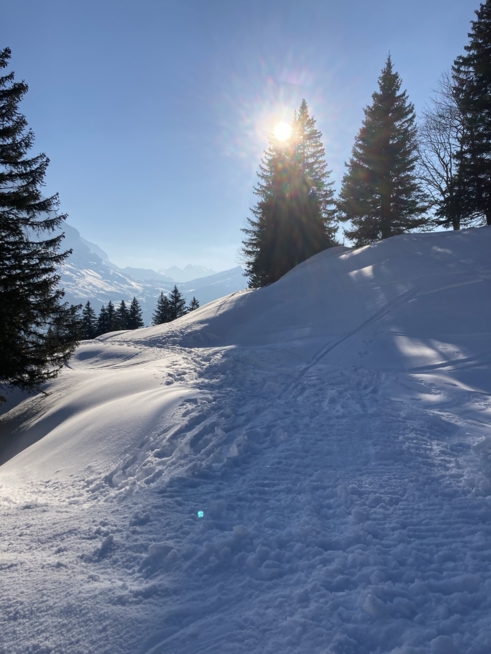 Ein Bild zum Beitrag Ski Feriä