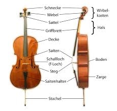 Ein Bild zum Beitrag Cello
