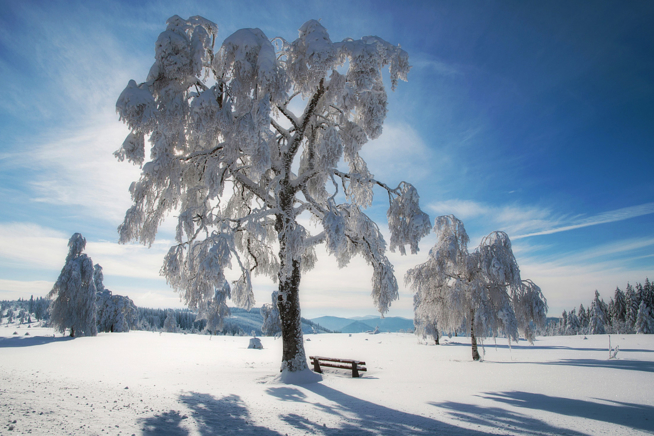 Ein Bild zum Beitrag Winterbilder