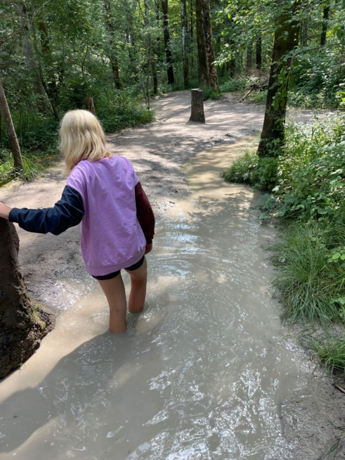 Ein Bild zum Beitrag Bauernhof