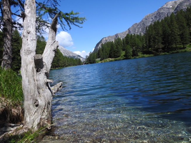 Ein Bild zum Beitrag ❤️🇨🇭Summerferie🇨🇭❤️