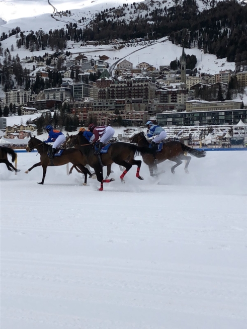 Ein Bild zum Beitrag 🏇🏻🏇🏻White Turf🏇🏻🏇🏻