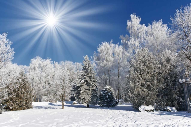 Ein Bild zum Beitrag Winterbüuder 2