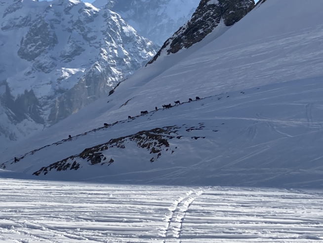 Ein Bild zum Beitrag Ski Feriä