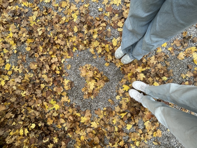 Ein Bild zum Beitrag Der Herbst ist da 😍🍂