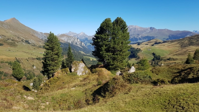 Ein Bild zum Beitrag Wandern