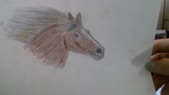 Ein Bild zum Beitrag Pferd zeichnen