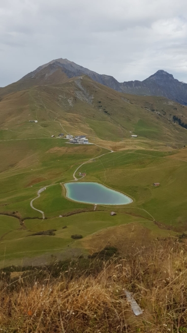 Ein Bild zum Beitrag In Lenk