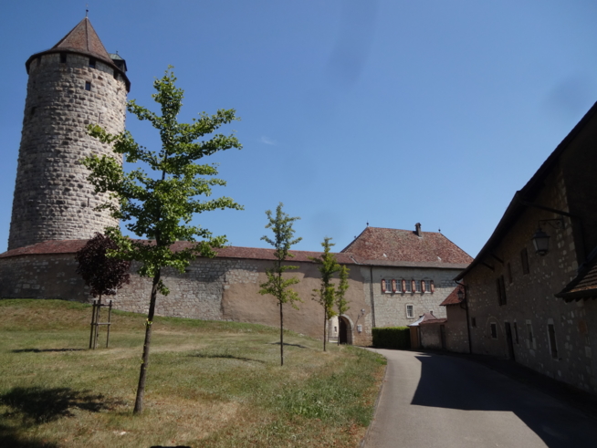 Ein Bild zum Beitrag Zambo Gipfelchallenge  Tour Réfous (Schloss Porrentruy JU)