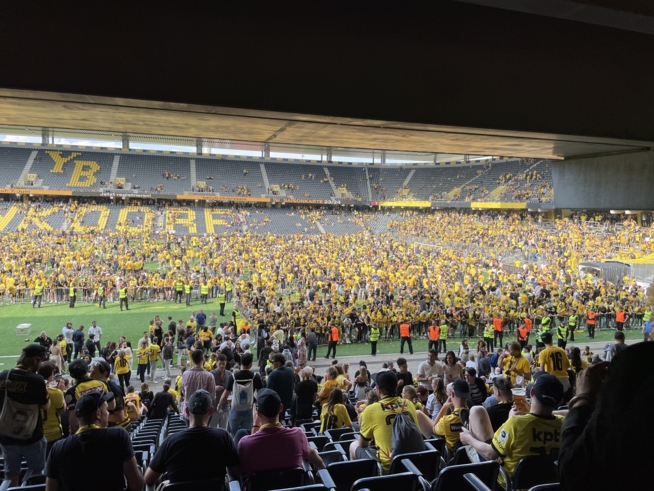 Ein Bild zum Beitrag BSC YB 💛🖤