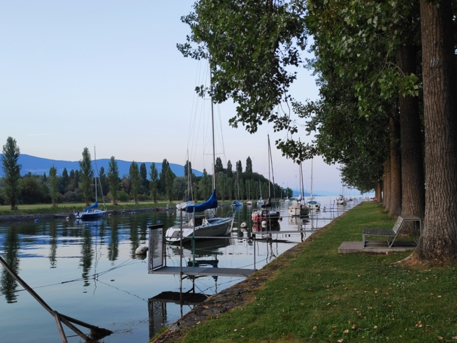 Ein Bild zum Beitrag Ferien in Yverdon 🏕️🌅