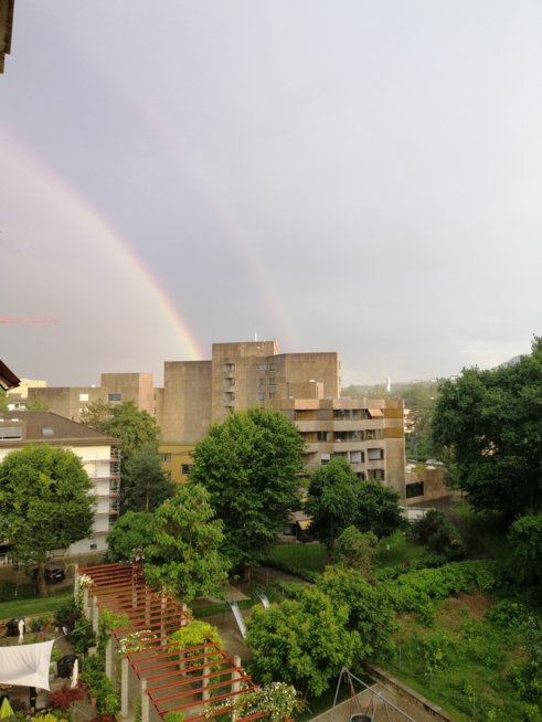 Ein Bild zum Beitrag Regenbogen