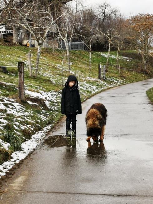 Ein Bild zum Beitrag Ein hund soooooo süüüs!