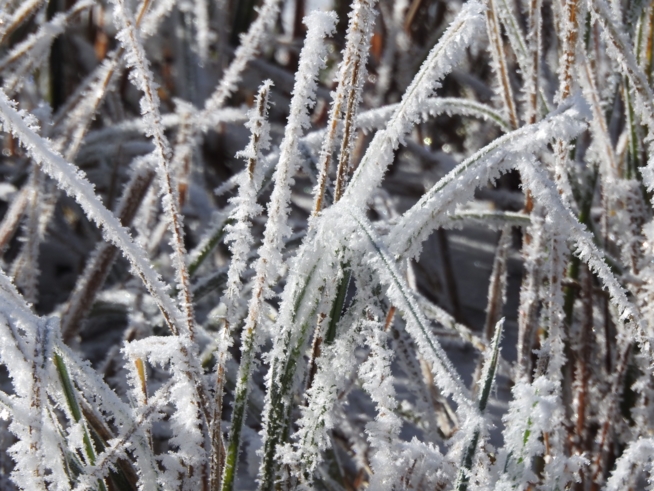 Ein Bild zum Beitrag ❄️❄️Winterwonderland❄️❄️