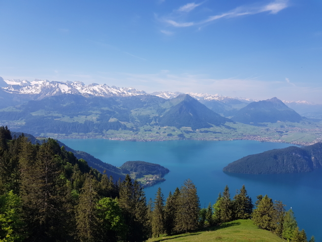 Ein Bild zum Beitrag Rigi